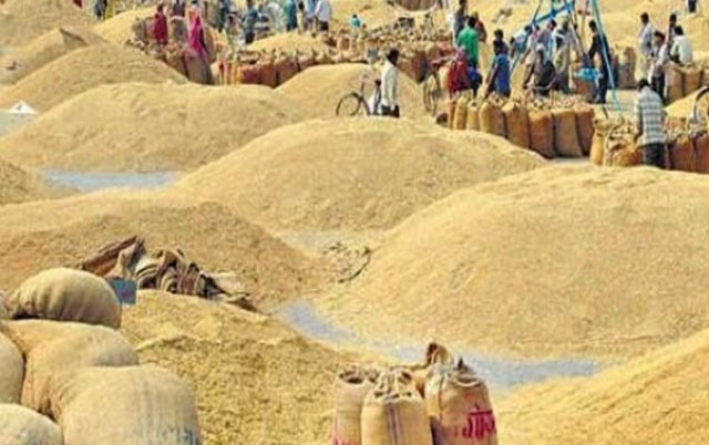 धानको समर्थन मूल्य गत वर्षभन्दा केही बढ्यो