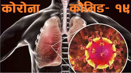नेपालमा थप ३ जनामा भेटियाे कोरोना संक्रमण, संक्रमितकाे संख्या १२ पुग्यो