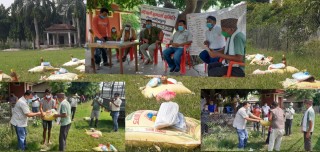 बर्दियाली संम्पर्क समिति दक्षिण कोरियाद्वारा कोभिड–१९ वाट प्रभावित परिवारलाई राहत वितरण