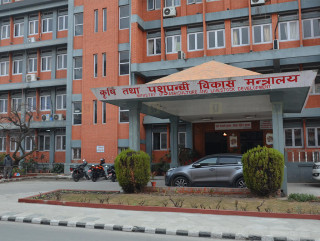 २० वटा सरकारी कार्यालयले दिने सेवा आजदेखि प्रभावित