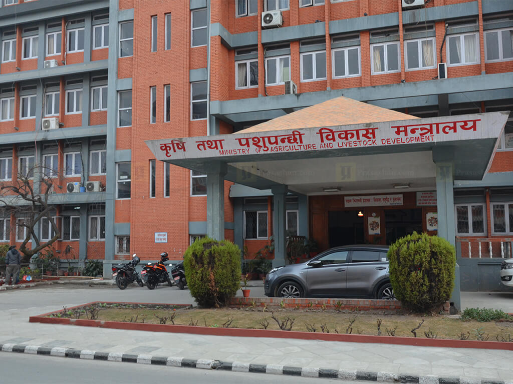 २० वटा सरकारी कार्यालयले दिने सेवा आजदेखि प्रभावित