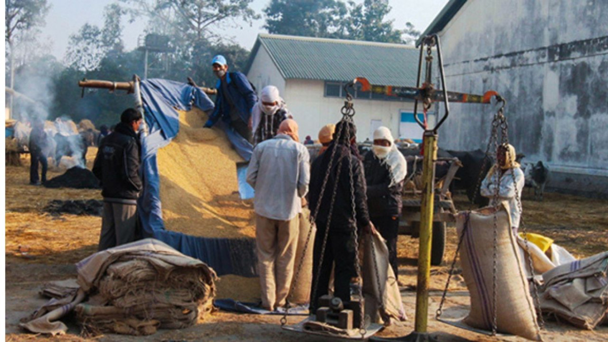 खाद्य व्यवस्था तथा व्यापार कम्पनीले गेरुवाको शान्तिबजार र मनाउमा धान खरिद डियो सञ्चालनमा ल्यायो