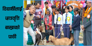 विद्यार्थीलाई छात्रवृत्ति बाख्राको पाठी