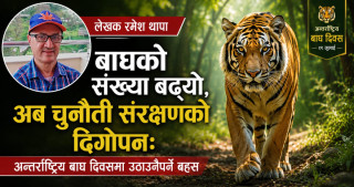 बाघको संख्या बढ्यो, अब चुनौती संरक्षणको दिगोपनः अन्तर्राष्ट्रिय बाघ दिवसमा उठाउनैपर्ने बहस